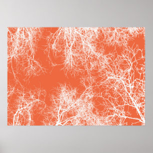 Orangefarbene und weiße, silberfarbene Bäume Poster