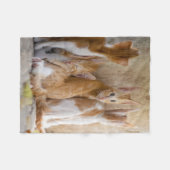 Orangefarbene und weiße Tablette mit Kätzchen/Foto Fleecedecke (Vorderseite (Horizontal))