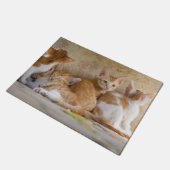 Orangefarbene und weiße Tablette mit Kätzchen/Foto Fußmatte (Schrägansicht)