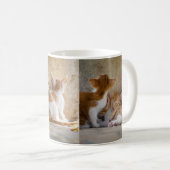 Orangefarbene und weiße Tablette mit Kätzchen/Foto Kaffeetasse (VorderseiteRechts)