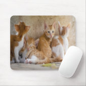 Orangefarbene und weiße Tablette mit Kätzchen/Foto Mousepad (Mit Mouse)