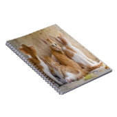 Orangefarbene und weiße Tablette mit Kätzchen/Foto Notizblock (Rechte Seite)