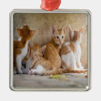 Orangefarbene und weiße Tablette mit Kätzchen/Foto Ornament Aus Metall
