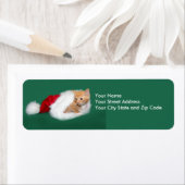 Orangefarbene Weihnachtsmannmütze (Insitu)