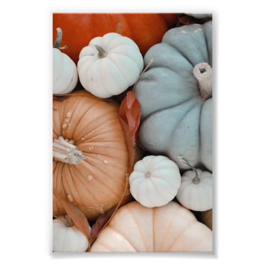 Orangefarbene weiße und blaue Pumpkins Fotodruck (Vorne)