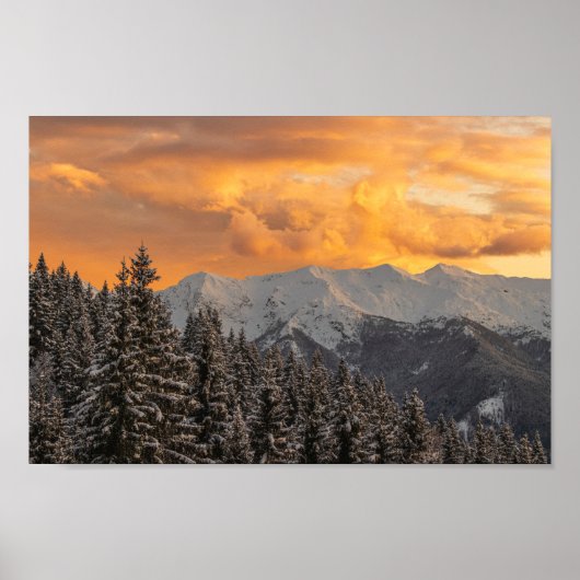 Orangefarbene Wolken über Bergen und Fichtenwald Poster (Vorne)