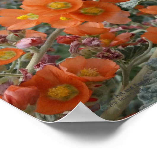 Orangefarbene Wüstenglühende Blume im Blut Poster (Ecke)