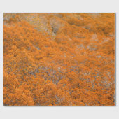 Orangefarbener Blick auf den Wald. Orangefarbener Geschenkpapier (Flach)