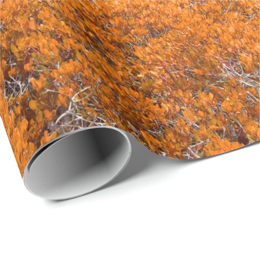 Orangefarbener Blick auf den Wald. Orangefarbener Geschenkpapier (Rolleneckpunkt)