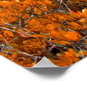 Orangefarbener Blick auf den Wald. Orangefarbener Poster (Ecke)