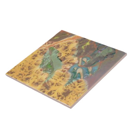 Orangefarbener Hibiskus Teil 12 der 12-Keramiken-F Fliese (Seite)