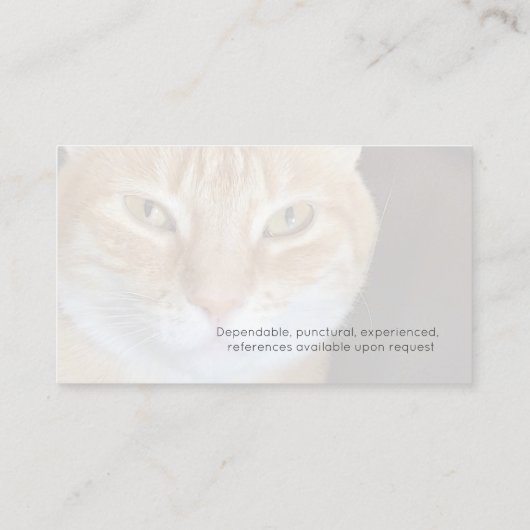 Orangefarbener Katzen-Sitzer Visitenkarte (Rückseite)