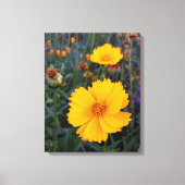 Orangefarbener Kosmos in der Vordergrundfotografie Leinwanddruck (Vorderseite)