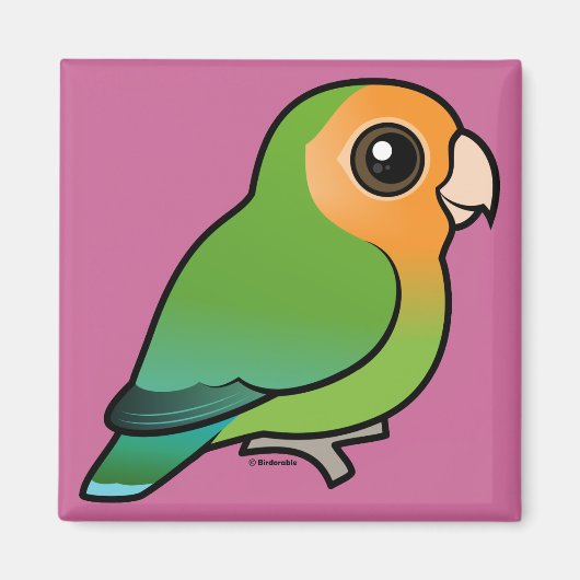 Orangefarbener Pfirsichgewächse Magnet (Vorne)