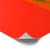 Orangefarbener Schädel im Wasser Poster (Ecke)