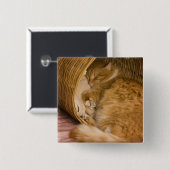 Orangefarbener Schlaf in Hürde Button (Vorne & Hinten)