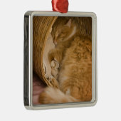 Orangefarbener Schlaf in Hürde Ornament Aus Metall (Rechts)