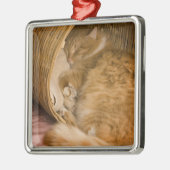 Orangefarbener Schlaf in Hürde Ornament Aus Metall (Links)