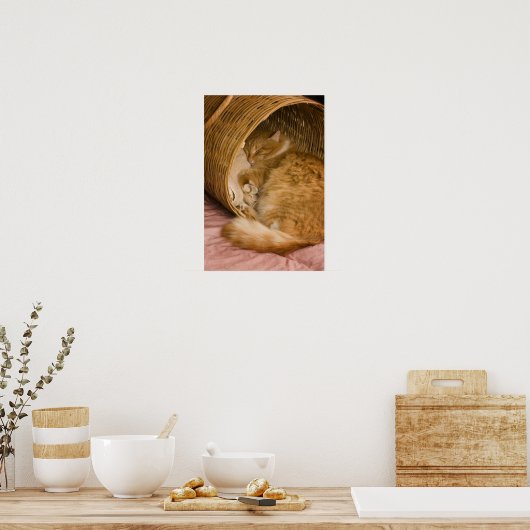 Orangefarbener Schlaf in Hürde Poster (Küche)