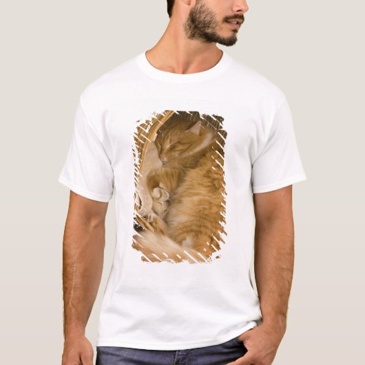 Orangefarbener Schlaf in Hürde T-Shirt (Vorderseite)