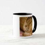 Orangefarbener Schlaf in Hürde Tasse (VorderseiteRechts)