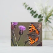 Orangefarbener Schmetterling auf der lila Blume Postkarte (Stehend Vorderseite)