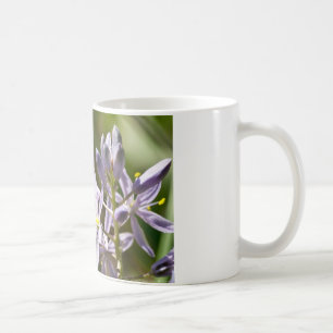 Orangefarbener Schmetterling auf wilder Hyazinthe  Kaffeetasse
