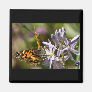 Orangefarbener Schmetterling auf wilder Hyazinthe Magnet