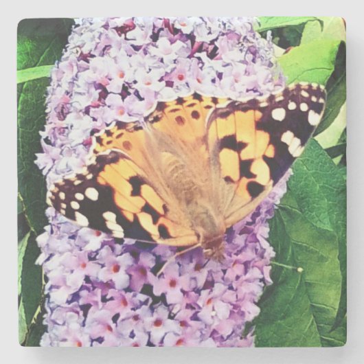 Orangefarbener Schmetterling Steinuntersetzer (Vorderseite)
