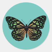 Orangefarbener und grüner gefleckter Schmetterling