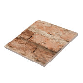 Orangefarbener Ziegelstein und Mortaruntergrund Fliese (Seite)