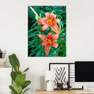Orangefarbenes Foto mit doppelter Taglilie Blume d Poster