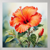 Orangefarbenes Hibiskusposter drucken Poster (Vorne)