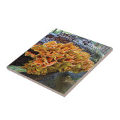 Orangefarbenes Huhn im Wald Pilz Fliese (Seite)