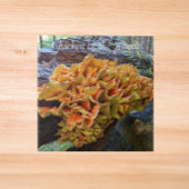 Orangefarbenes Huhn im Wald Pilz Fliese