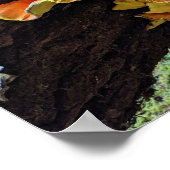 Orangefarbenes Huhn im Wald Pilz Poster (Ecke)