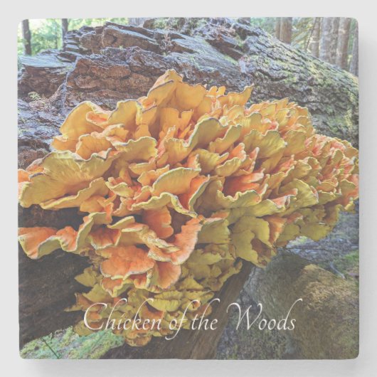 Orangefarbenes Huhn im Wald Pilz Steinuntersetzer (Vorderseite)