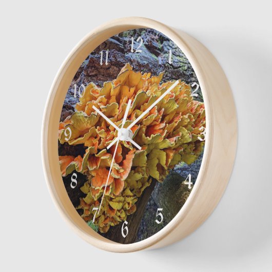 Orangefarbenes Huhn im Wald Pilz Uhr (Winkel)