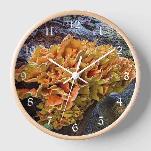 Orangefarbenes Huhn im Wald Pilz Uhr (Vorderseite)