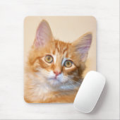 Orangefarbenes Kätzchen Mousepad (Mit Mouse)