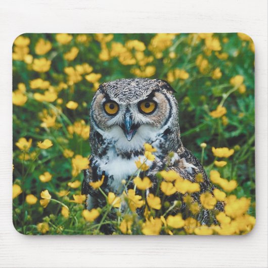 Orangefarbenes Mit Augen Eule im Wiese der Blume Mousepad (Vorne)