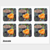 Orangefarbenes Pantopuntia Kakteen Blume Foto Quadratischer Aufkleber (Blatt)