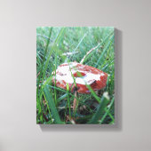 Orangefarbenes Pilz mit Regen oben Leinwanddruck (Vorderseite)