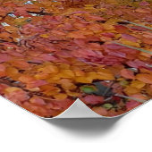 Orangefarbenes, rotes, Lila Blätterteiggebäck Poster (Ecke)