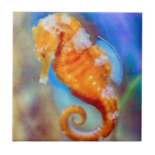 Orangefarbenes Seepferd Fliese