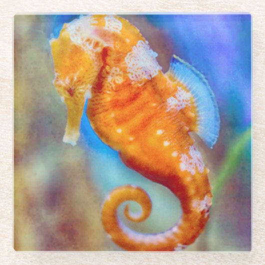 Orangefarbenes Seepferd Glasuntersetzer (Vorderseite)