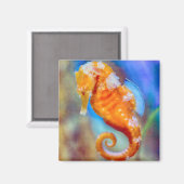 Orangefarbenes Seepferd Magnet (Vorderseite/Rückseite)