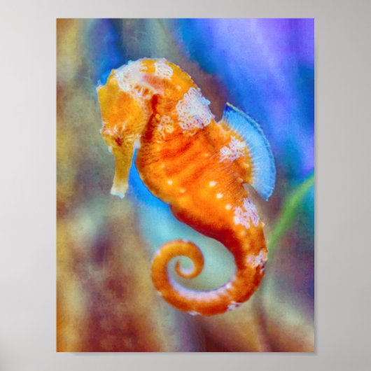 Orangefarbenes Seepferd Poster (Vorne)