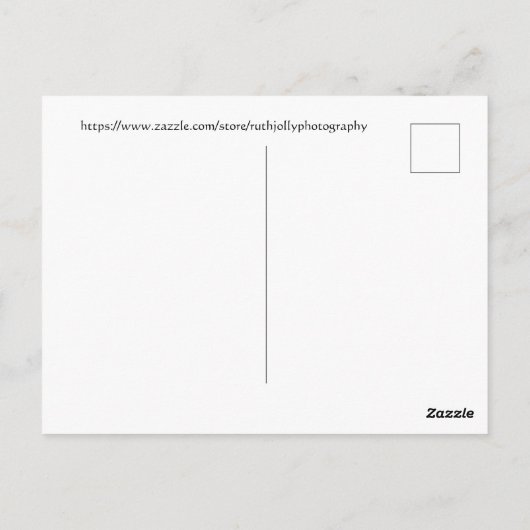 Orangefarbenes Seepferd Postkarte (Rückseite)