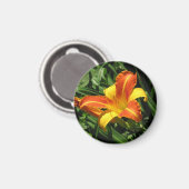 Orangefarbenes und gelbes Lippenmagnet Magnet (Vorderseite/Rückseite)